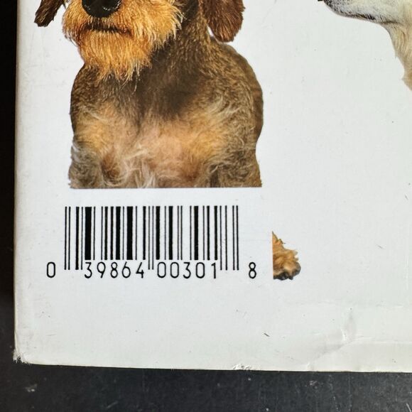 Illustrated Encyclopedia of Dog Breeds: The Comprehensive Visual Directory [280] - Picture 9 of 9